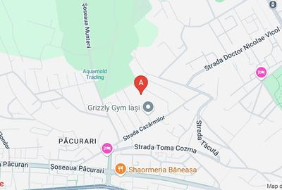 Teren Construcții intravilan de 2000 mp, în Păcurari