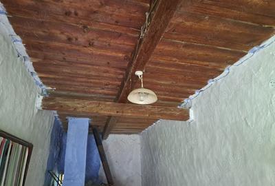 Teren în Aluniș - 4