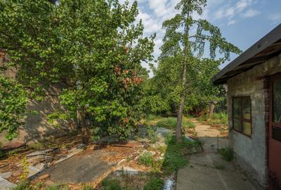 CHIAJNA - CASA RENOVABILA 129 MP, LOT 690 MP! - 12