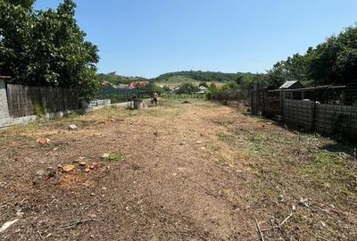 Teren de 1049 mp, în Curtișoara - 2