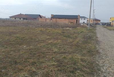 Mosnita Noua-parcele- terenuri de vânzare ieftine  în Moșnița Nouă.
