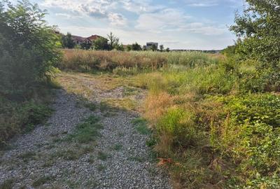 Teren ieftin la liziera padurii Balotesti, 350mp - 9