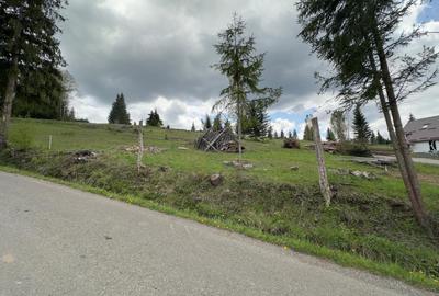 Teren Construcții extravilan de 1000 mp, în Neagra Șarului - 3