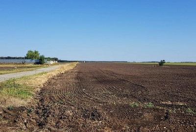 Teren Construcții intravilan de 30700 mp, în Brănești - 7