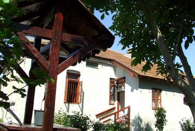 Casă cu 5 camere cu Teren 3610 Mp în Central - 2