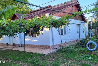 Casă cu 3 camere în Pestișu Mic - 10