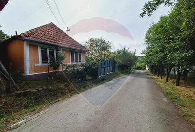 Casa cu teren 3100mp in Hidiselu de Sus - 2