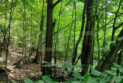 Teren de 70290 mp, în Meteș - 1