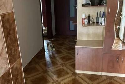 Inchiriere Apartament 3 Camere Decomandat Giurgiului-Aleea Dolina - 3