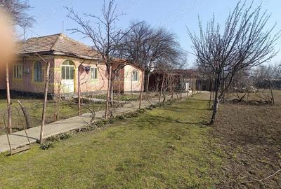 Casă cu Teren 1700 Mp în Roșioru - 3