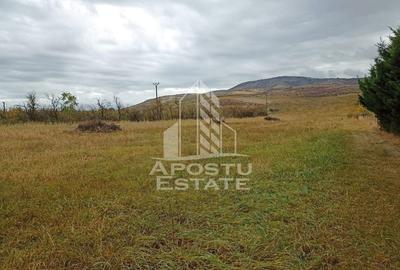 Teren de 3800 mp, în Ghioroc