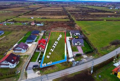 Teren de vanzare cu proiect de casa si piscina Sacalaseni - 6