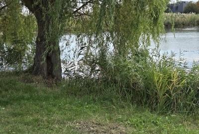 TEREN COREBACA LAGUNA ALBASTRA-3 m LAC TEREN COREBACA LAGUNA ALBASTRA-3 m LAC - 7