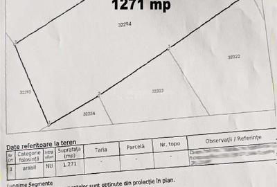 Coronini, Teren Drept, Vedere la Dunare, 1271 mp, 14,95 Euro Mp, Negociabil - 4