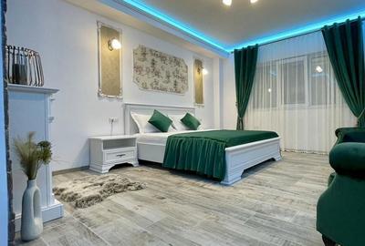Apartament cu 2 camere în Brazda lui Novac - 7