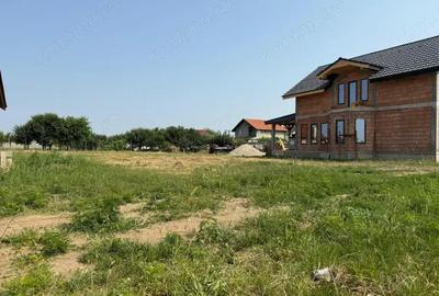 Inchiriem viitorul pe metru patrat, teren 800 mp, intravilan-Peciu Nou - 2