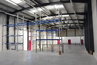 Vand hala noua in Bors Vand hala noua in Bors - 5