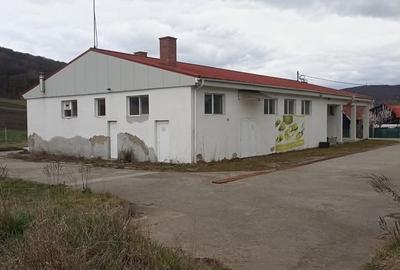 De vânzare fabrică de prelucrare a cărnii în Vâlcele - 14