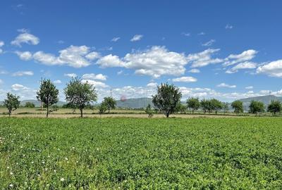 Teren intravilan Zona Metropolitana Brasov - 11