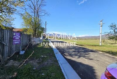 Teren de 4606 mp, în Runcu - 4