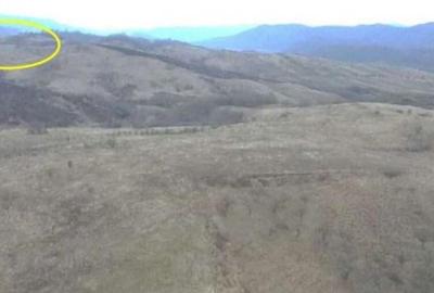 Cota 1/4 teren extravilan Dalboset, jud. Caras Severin - ... - 3