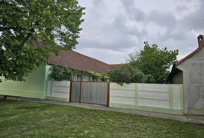 Casă cu 4 camere cu Teren 1450 Mp în Liebling - 8