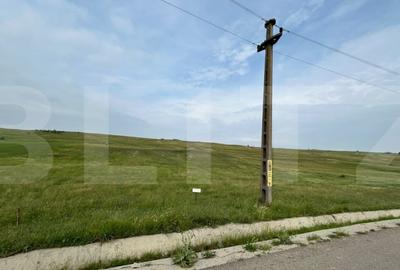 Teren de 12600 mp, în Stăuceni