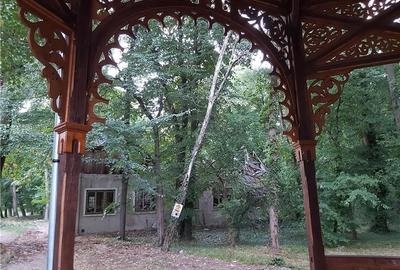 Casă cu 6 camere în Buziaș - 4