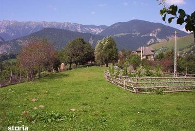 Teren de 970 mp, în Moieciu
