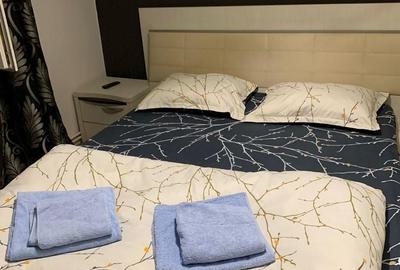 Apartament cu 3 camere decomandat în Dosu Bricii - 2