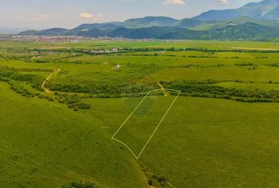 Teren de 10800 mp, în Râșnov - 5