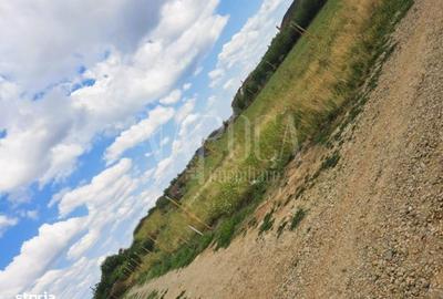 Spațiu comercial, în Central - 3