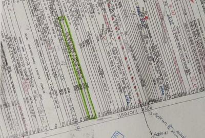 Teren de 4379 mp, în Cocorăștii Caplii - 1