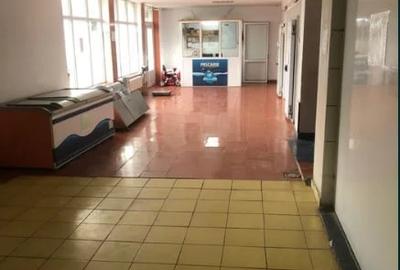 INEL II , spatiu comercial  280 mp., ideal SHOWROOM/PRODUCTIE/DEPOZITARE, curte - 5