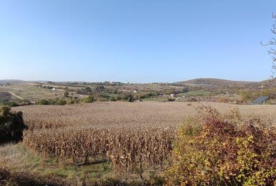 Teren agricol extravilan de 5671 mp, în Dâmbul Rotund - 1