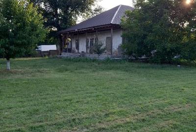 Teren Construcții intravilan de 14000 mp, în Postăvari - 1