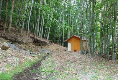 Teren de 5727 mp, în Buceș - 11