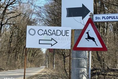 Spațiu comercial, în Ciolpani - 7