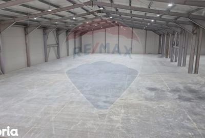 Spațiu comercial, de 2,645 mp, în Tunari - 16