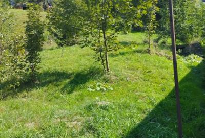 Casă cu 11 camere cu Teren 1560 Mp în Moieciu - 10