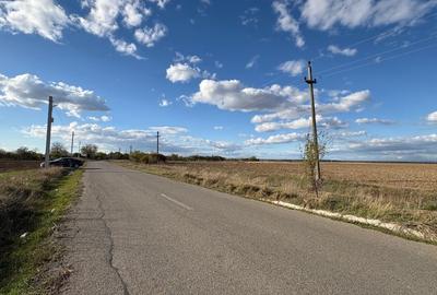 📍 Teren intravilan 25.535 mp – Cocani / Răcari – acces asfalt, curent, apă – 9 📍 Teren intravilan 25.535 mp – Cocani / Răcari – acces asfalt, curent, apă – 9 - 4