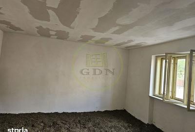 Casă cu 3 camere cu Teren 1011 Mp în Cărpinet - 2