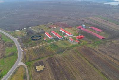 Teren de 43708 mp, în Scobâlțeni - 5