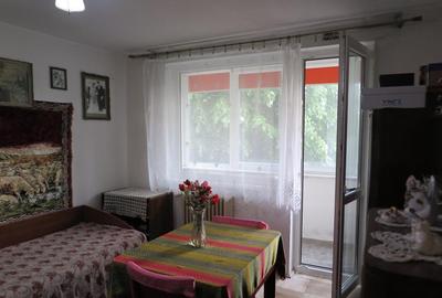 Apartament 2 camere - Zona Podgoria - 2