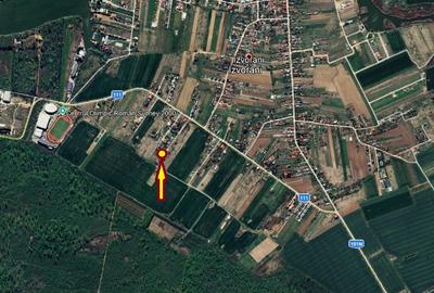 Izvorani Teren 534 mp la 500 m de Complexul Olimpic in apropiere de padure Izvorani Teren 534 mp la 500 m de Complexul Olimpic in apropiere de padure - 4