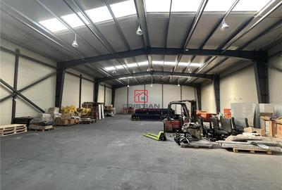 Depozit/hala/spatiu industrisl Jilava - Giurgiului - Progre - 12