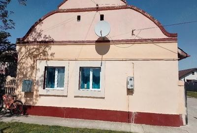 Casă cu Teren 2000 Mp în Central - 3