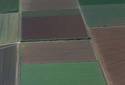 Teren intravilan 90.000 mp cu PUZ aprobat pentru cartier rezidențial – Slobozia, - 2