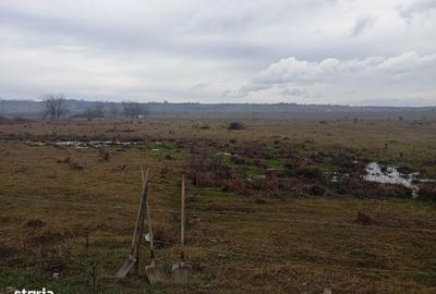 Teren de 2040 mp, în Preajba - 1