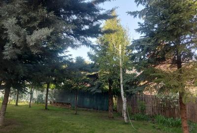 Vila de vanzare in Snagov in vecinatatea padurii - 5